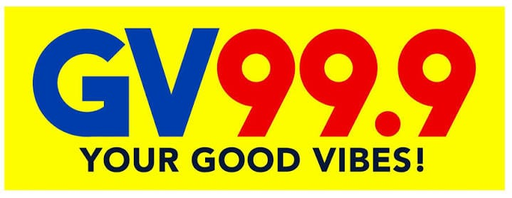 bdgv999.com Logo